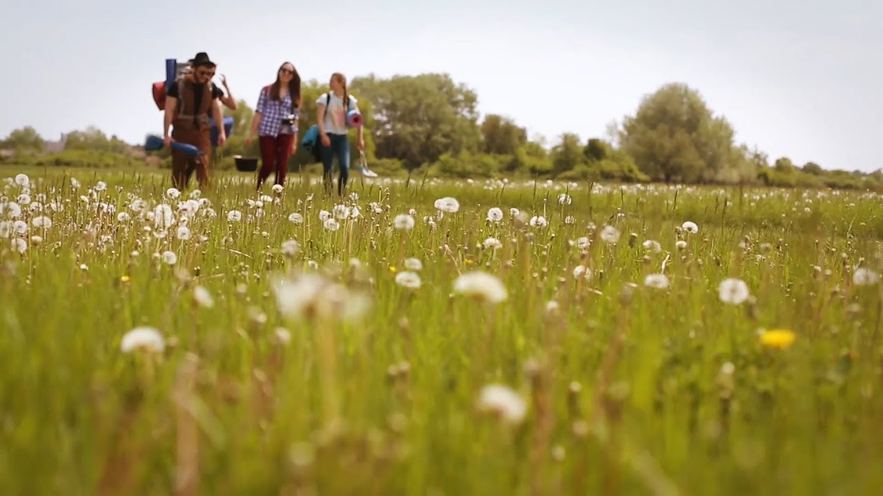 ДрКинО 2014 DrKino 2014