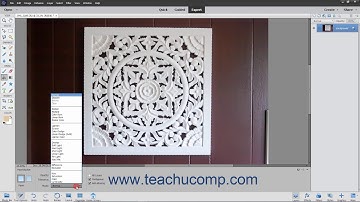 Photoshop Elements 2021 Tutorial Using the Paint Bucket Tool Adobe Training