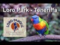 Loro Park - Teneriffa