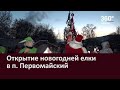 Открытие новогодней елки в п. Первомайский