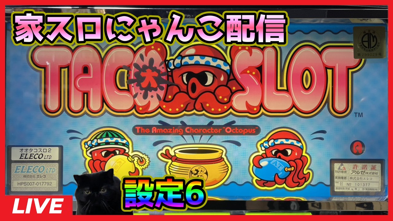 【家スロにゃんこ配信】オオタコスロ2【設定6】