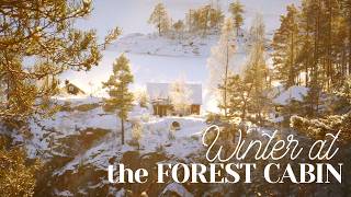 Winter Magic at the Cabin - Cozy Baking, Forest Walk - Cottagecore Vlog