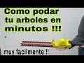 Como podar tus arboles en minutos
