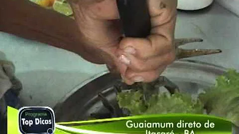 Onde se localiza as fezes do caranguejo?