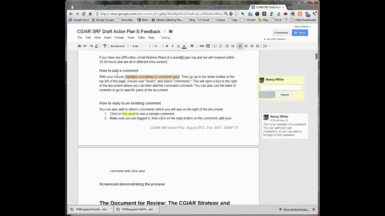 CGIAR Consortium Strategy & Results Framework Consultation Tips