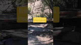 Enerini Değerli Insanlara Saklı