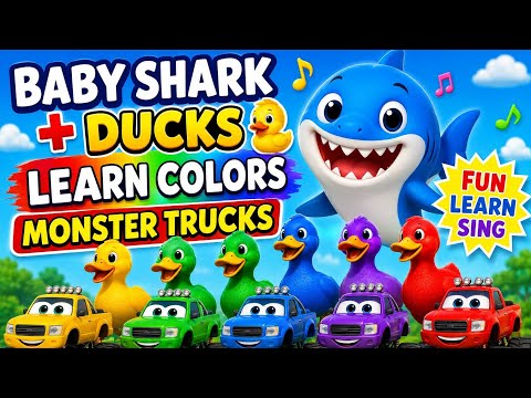 Baby Shark Song 🦈 | Learn Colors with Ducks & Monster Trucks | Kids Learning Video