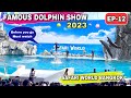 Dolphin Show Safari World Bangkok 2023 - safari world Marine Park Bangkok 2023