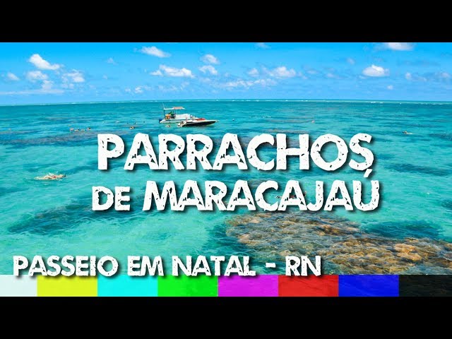 O que fazer em Natal RN: Passeio até os Parrachos de Maracajaú (com  desconto) - YouTube