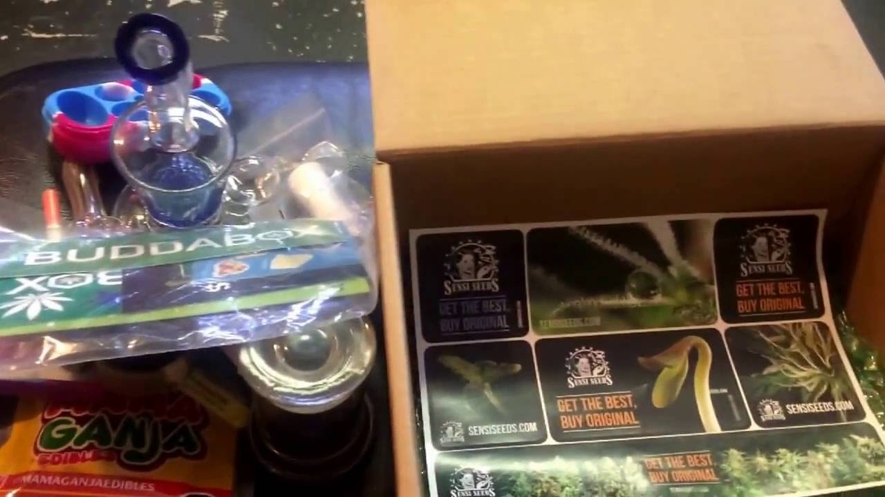 The 420 Review TV | BUDDABOX Review