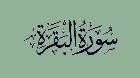 تلاوة من سورة البقرة||بصوت القارئ مشاري راشد العفاسي🤍 ||حالات واتس اب ||Quran status