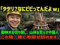 【海外の反応】「邪魔だし全部切り倒してしまおう」開発を強行し、御神木を伐採する中国人。この後、想像を絶する報いが…