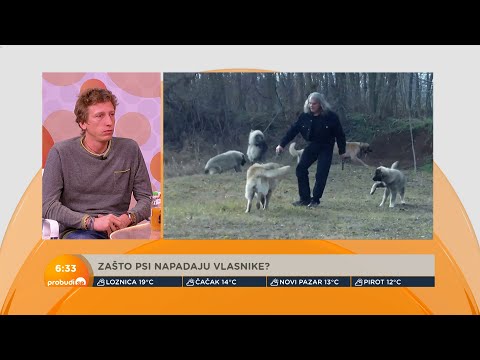 Jovičić o napadima pasa na vlasnike: Nežnost nije dovoljna da se ukroti opasan pas