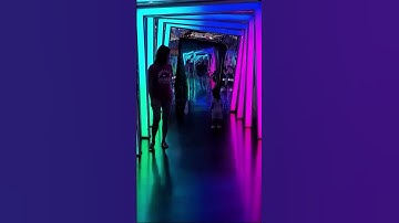 Mirror Maze Madness | Toddler