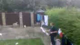 rc blade 3d outdoor garden flying