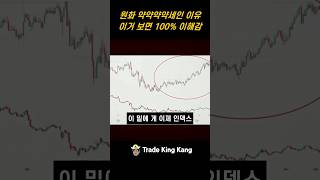 원화 ‘약약약’…이거 보면 100% 이해됨