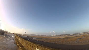 RC Slope soarer Wildthing SAS