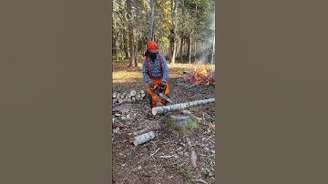 Echo CS 3510 Piped & Tuned with a new Full Chisel Chain!! I grab this more than my Big Husqvarna’s.