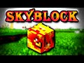 I got the RAREST DROP IN THE GAME (1 in a MILLION chance) | Solo Hypixel SkyBlock [234]