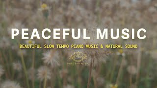 Relieving Anxiety, Stress After Work With Peaceful Music 🌻 Pure Spa Music #relaxingmusic #piano