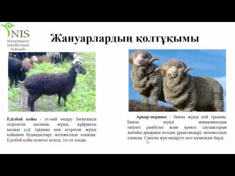 Бейне: Оқшаулағыш противогаздар: бұл не? Сүзуден айырмашылығы неде? Оттегі оқшаулағыш газқағар не үшін қажет?