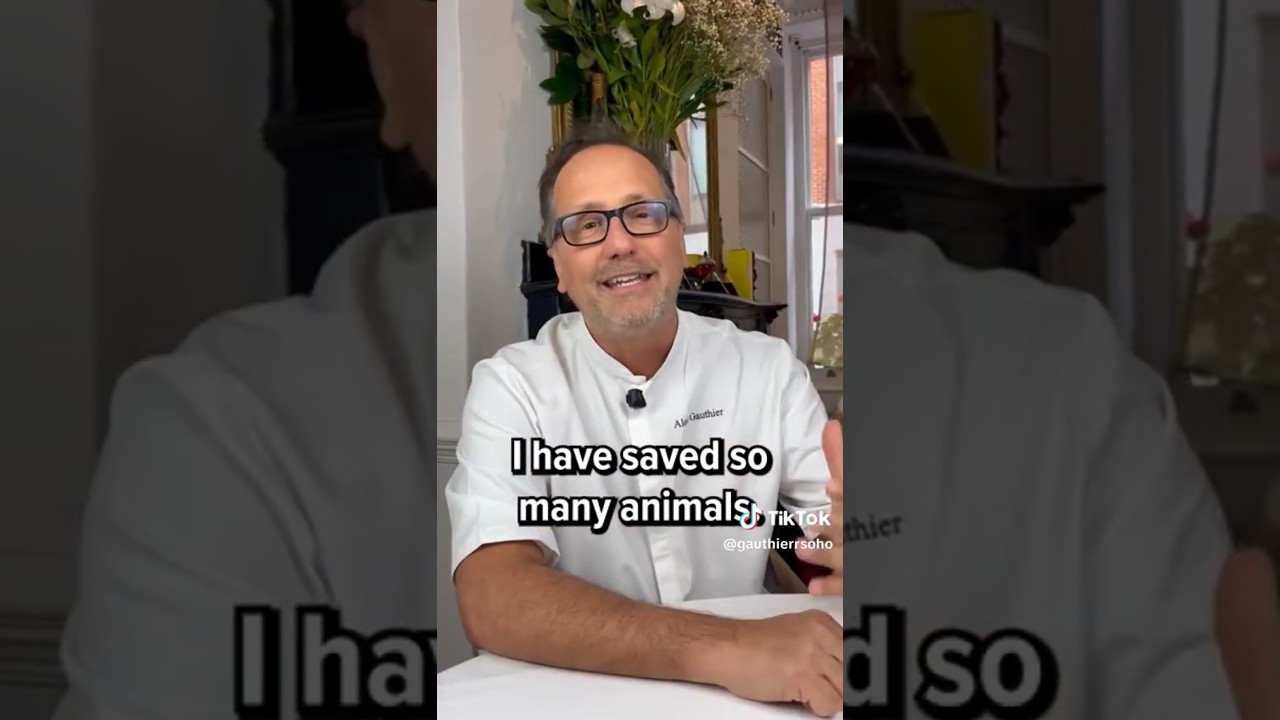 CHEF - Plant Based Recipes Saves 