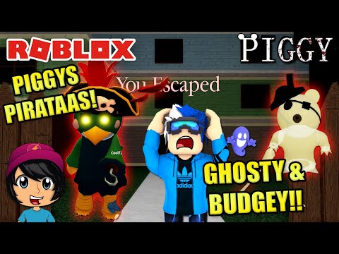Piggys Piratas Ghosty Y Budgey Soy Blue Piggy Roblox Espanol Youtube - soy un pirata en roblox
