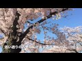 もっともっと CHIEMAR (Chie&まーくん)