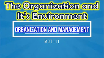 Chapter 3 - The Organization and It