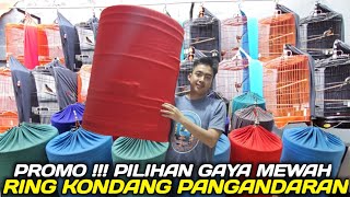 BANTING HARGA TROTOL JAHAT RING KONDANG DARI PANGANDARAN GAYA MEWAH PALING DICARI