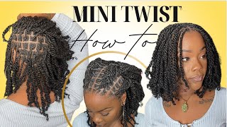 DIY Mini Twists Tutorial for Beginners Ft. Eayon Hair | Save $1,200 at home