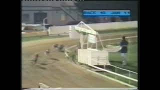 CANTERBURY - 1992 HURDLE RACE
