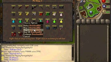 New Runescape Private Server ! Need staff !