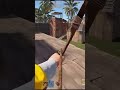 Rust-I managed to do a clean triple kill on a pvp server. #rust #viralvideo #gaming #shorts
