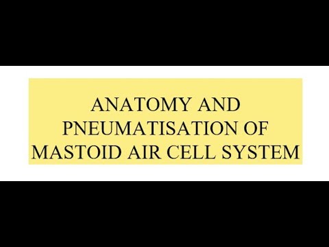 Anatomy of Mastoid and Its Pneumatization