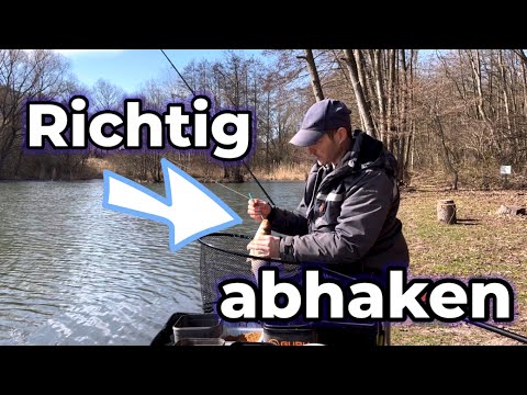 Video: Wie lösche ich viele Fische?