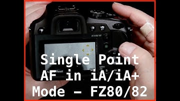 Single Area AF In the Fully Auto Mode on the Panasonic FZ80/82
