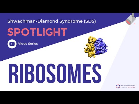 Videó: A Shwachman-Diamond Szindrómában Szenvedő Betegek Csontvelőjében Végzett Mikrotípusos Expressziós Vizsgálatok A 20. Kromoszóma Hosszú Karjának, Más Kromoszóma-rendellenességeknek V