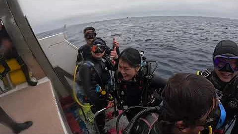 【神子元ダイビング】2024.7.16水中映像　ハンマーヘッドの群れ/Dive in Mikomoto (Swim with Hammerhead sharks) - 天天要聞