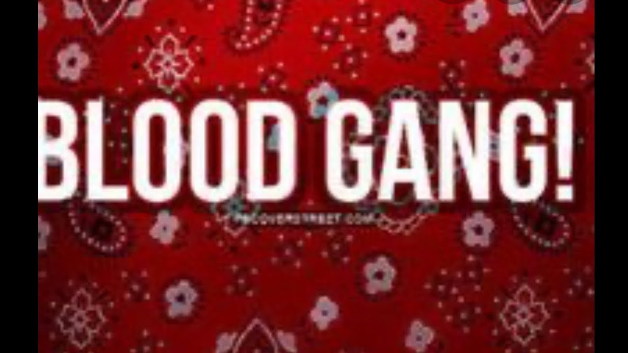 GKB FOUNDER O.G SHAQUELL `BOSSLY CAFE INTERVIEW