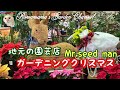 【園芸店】ガーデニングクリスマス #Mr.seed man #シクラメン