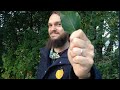 How to play the leafophone