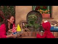 Sesame Street Episode 4814 