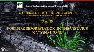Unit 10 Case Study : Post fire reforestation in Vesuvius National Park