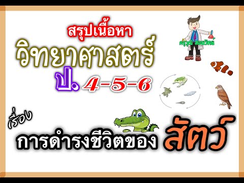 สรุปเนื้อหา วิทยาศาสตร์ ป.4-5-6 || ....เรื่อง การดำรงชีวิตของสัตว์