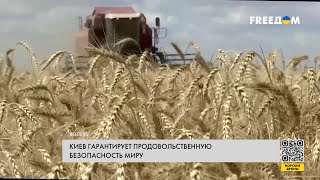 Эффективность зернового соглашения. Украина выполняет свои обязательства