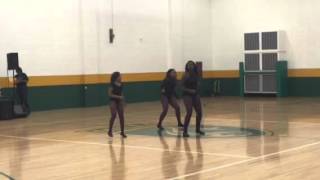 Dynamic Divas Dance Team (DD4E)