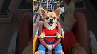 Chihuahua Adventures in AI Land (Roller Coaster) #chihuahua #dog #adventure #rollercoaster