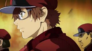 CELLS AT WORK! CODE BLACK - Trailer della serie animata