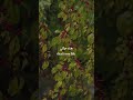  اغاني أغاني أجنبيه اغنية اغنية اجنبية مترجمة اغاني اجنبية اغنية اجنبية